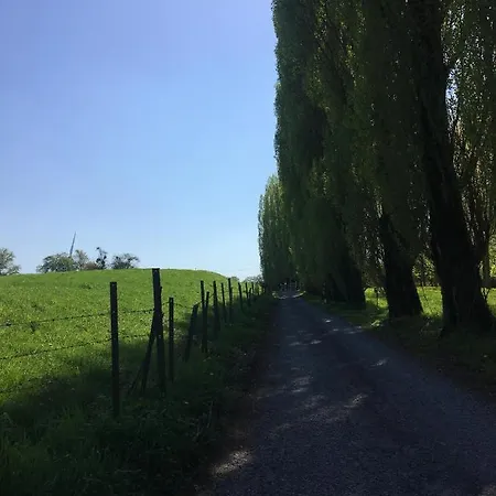 La Gaite De